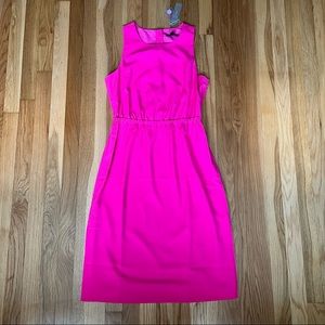 J Crew Pink Button Up Midi Dress